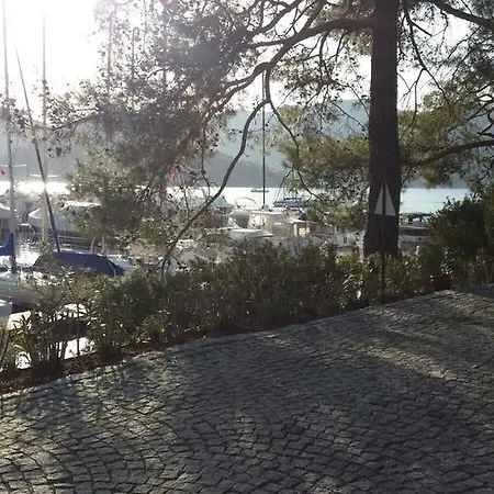 Terrace Life Palm Apart Дом отдыха